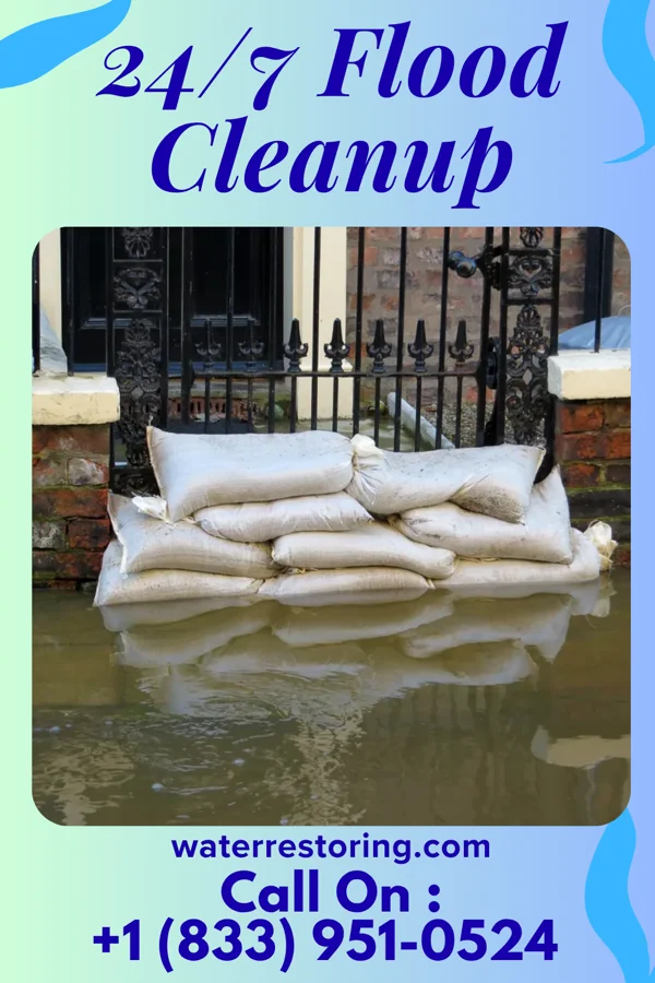24/7 Flood Cleanup in Nash, TX