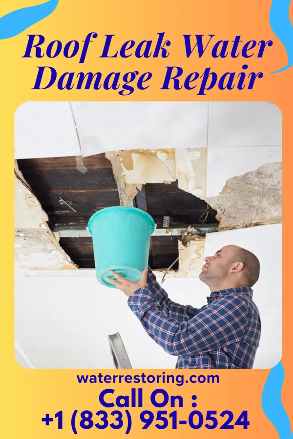 Roof Leak Water Damage Repair in Nash, TX