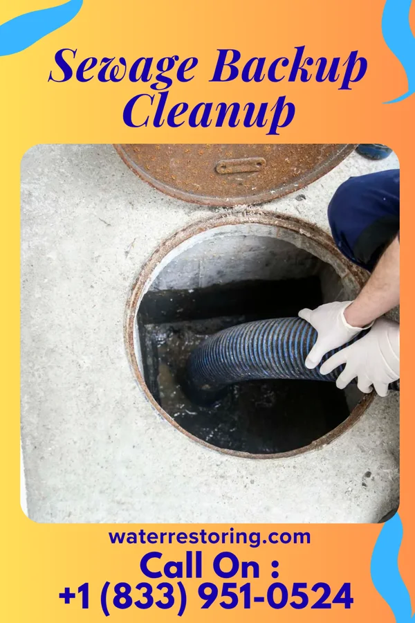 Sewage Backup Cleanup in Nash, TX